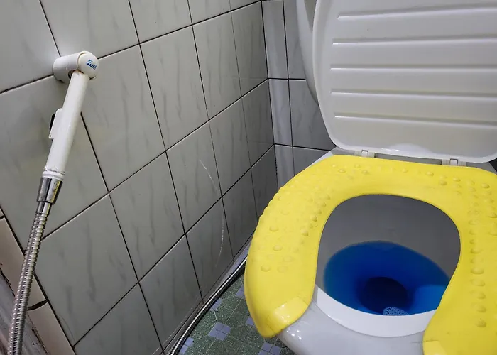 Exclusive Use Whole House For *