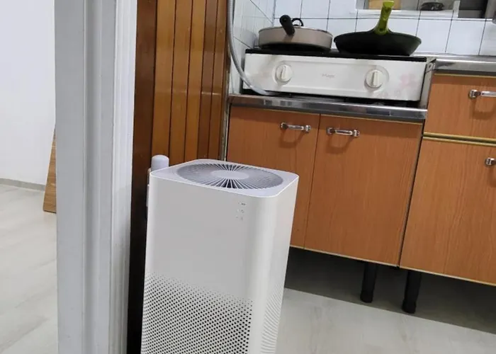 Apartment Exclusive Use Whole House For