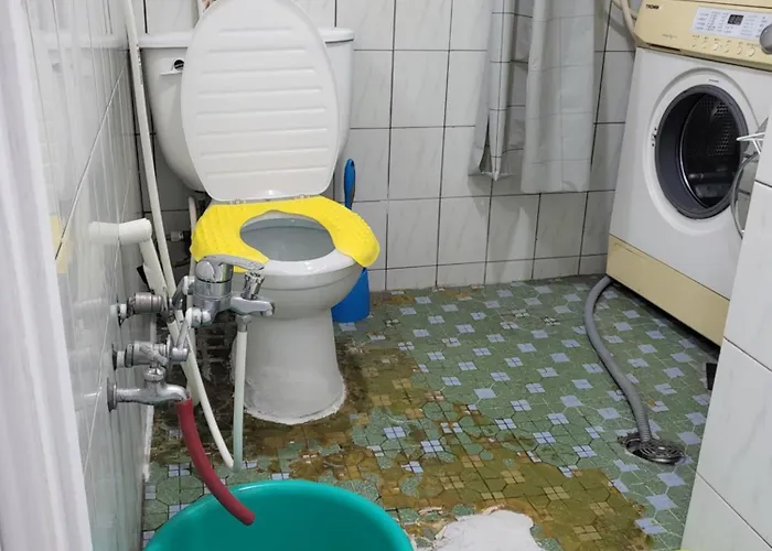 Exclusive Use Whole House For Busan